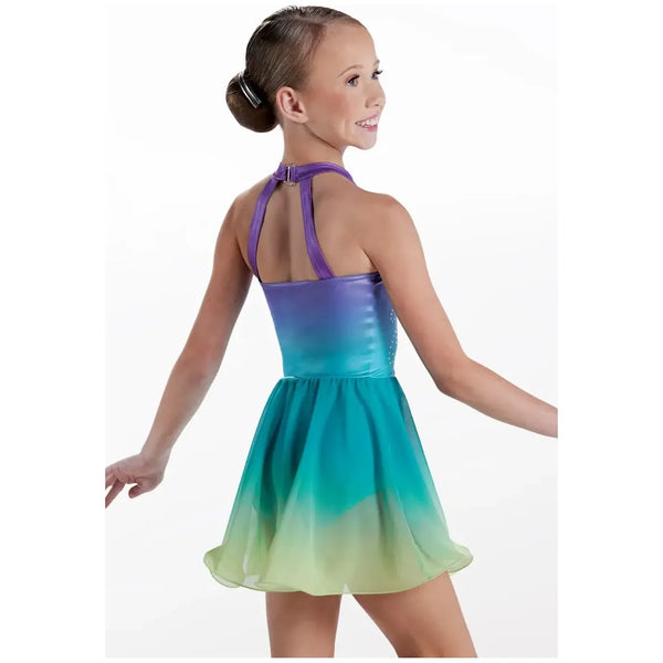 'Songbirds' Ombre Crystal Dress Lyrical Dance Costume