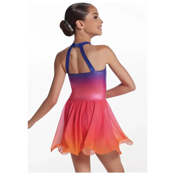 'Songbirds' Ombre Crystal Dress Lyrical Dance Costume