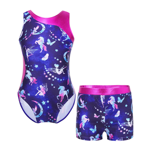 Pink & Purple Unicorn Fairy Leotard & Shorts Set